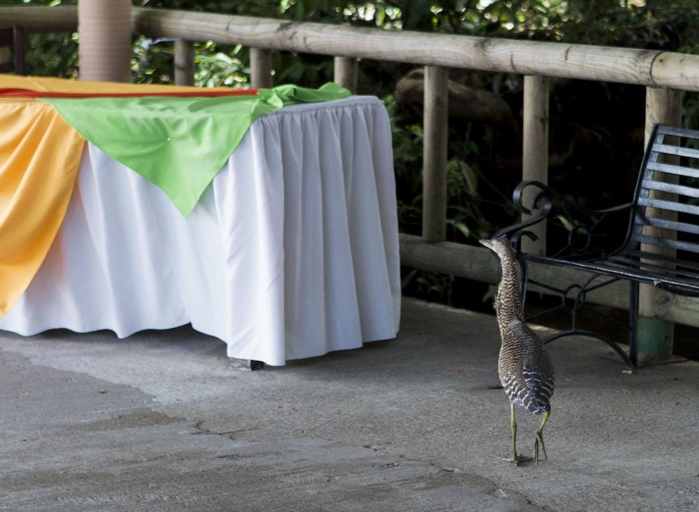 Evergreen Lodge Tortuguero Exterior photo